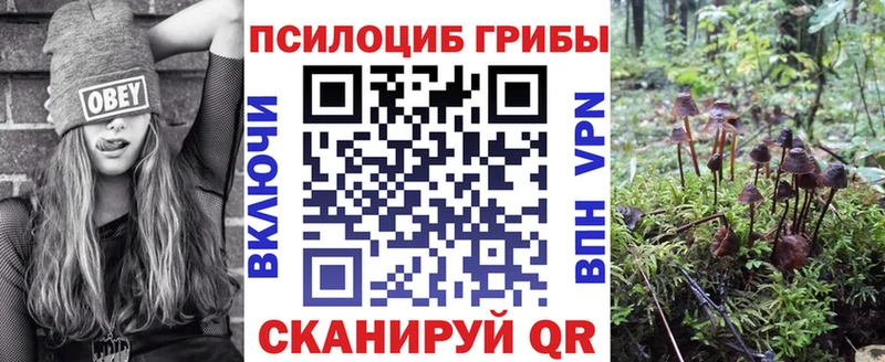 Купить  Кстово  Галлюциногенные грибы Cubensis 
