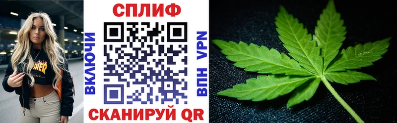 Купить  Кстово  Каннабис сатива 